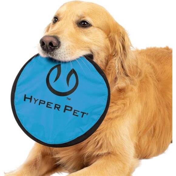 Pet Flippy Flopper 9" Flying Disc Soft Dog Toy, Floats in Water & Safe on Teeth - Picture 5 of 7